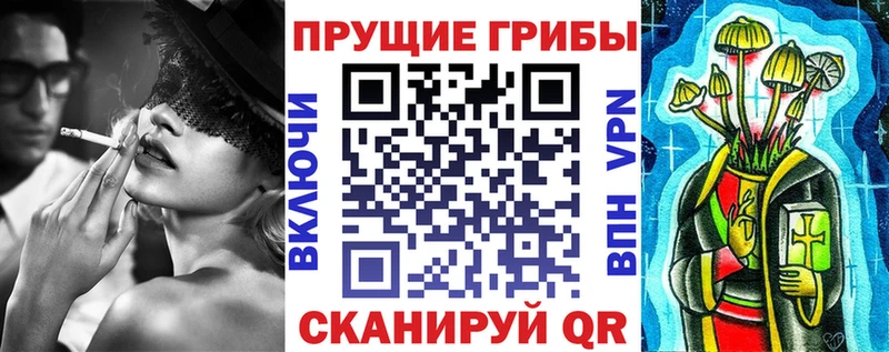Купить где  Ува  Галлюциногенные грибы MAGIC MUSHROOMS 